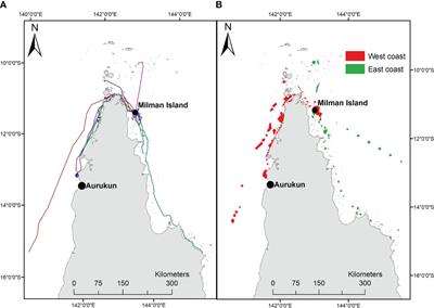 Delineating spatial use combined with threat assessment to aid critical recovery of northeast Australia’s endangered hawksbill turtle, one of western Pacific's last strongholds